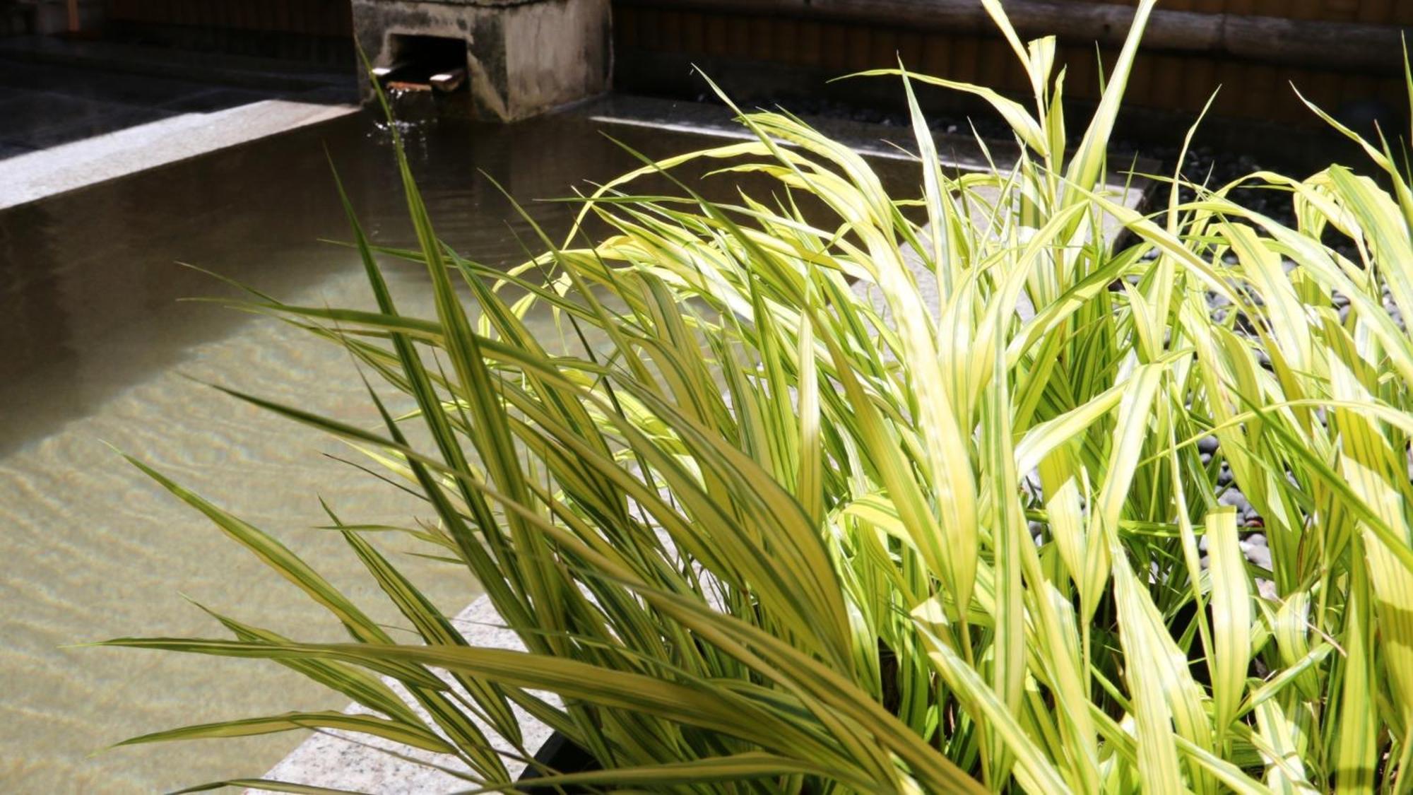 Baigetsu Ryokan Shimosuwa Exteriör bild